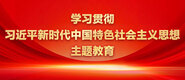 插小骚逼视频学习贯彻习近平新时代中国特色社会主义思想主题教育_fororder_ad-371X160(2)